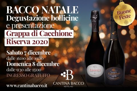 Bacco Natale degustazione bollicine